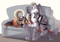 gay furry porn 