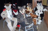 gay furry porn wikipedia commons anthrocon furry tales fursuit table threads porn