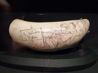 loving simpsons porn scrimshaw vancouver maritime museum