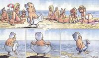 adult comics toons adult comics beach surprise