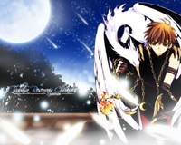 anime porno pictures wallpapers anime porno tsubasa chronicles wall forums news more wallpaper