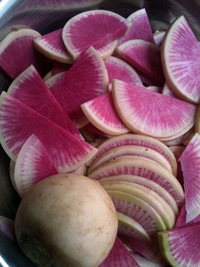 charlotte pickles porn canning day pickled watermelon radishes