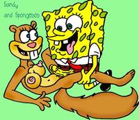 sandy cheeks porn rule