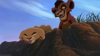 lion king porn lionking lion king simba pride young kiara blowing raspberry crocodiles tlk photo fanpop