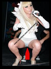 lady toons sex xxx lady gaga dick