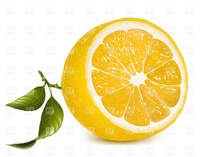 lemon cartoon porn fresh lemon half leaves royalty free vector eps slice realistic clip art