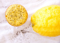 lemon cartoon porn lemon poppyseed muffins gluten grain free tiffany lane