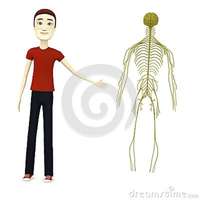 sexy cartoon toons render cartoon boy nervous system stock photos