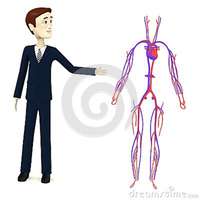 sexy girl toon cartoon businessman circulatory system royalty free stock