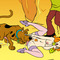 scooby doo porn cartoon pics