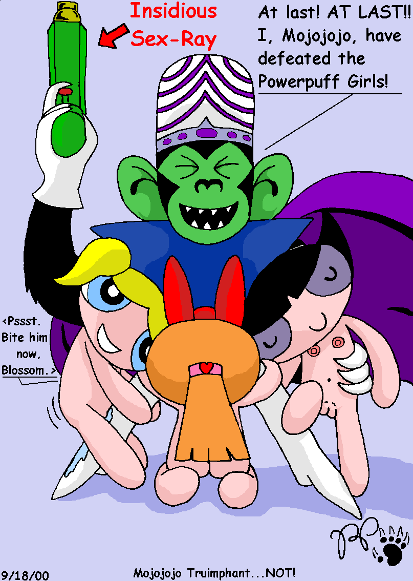 The Powerpuff Girls Porn