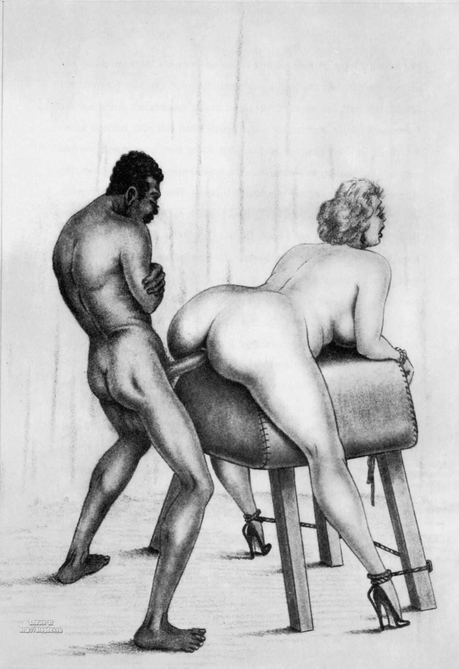 Vintage Black And White Cartoon Porn - Interracial Porn Cartoon Pics image #160926