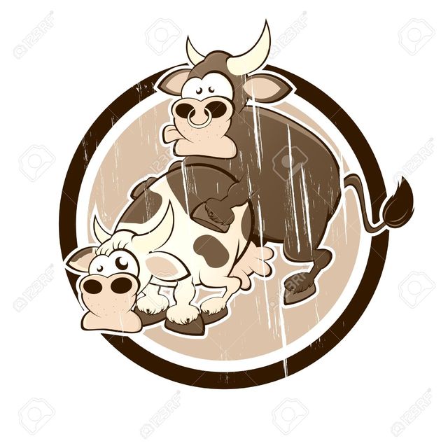 xxx porn cartoon sex free cartoon having cartoons cow bull vintage shock vector stock badge