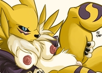 renamon porn 