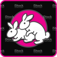 pics of cartoons having sex vectors funny cartoon card couple white lovers rabbits having vector